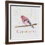 Creativity-Tammy Kushnir-Framed Giclee Print