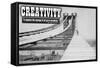 Creativity-null-Framed Stretched Canvas