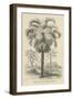 Creators Wonders Book Palm-Wild Apple Portfolio-Framed Art Print