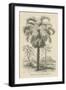 Creators Wonders Book Palm-Wild Apple Portfolio-Framed Art Print