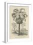 Creators Wonders Book Palm-Wild Apple Portfolio-Framed Art Print