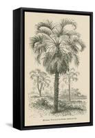 Creators Wonders Book Palm-Wild Apple Portfolio-Framed Stretched Canvas