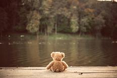 Teddy Bear-Creaturart Images-Photographic Print