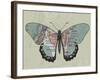 Creature Cartography IV-The Vintage Collection-Framed Giclee Print