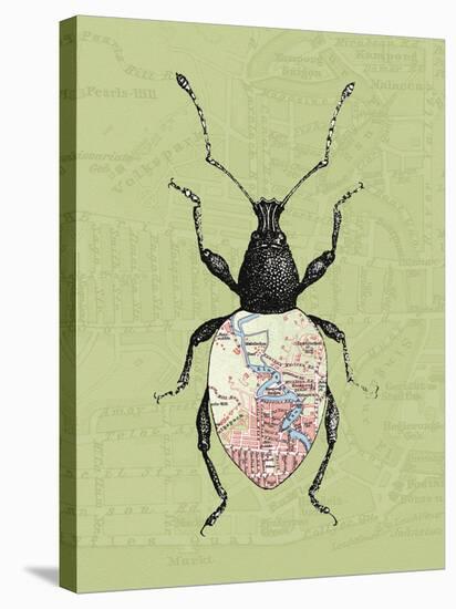 Creature Cartography VI-The Vintage Collection-Stretched Canvas