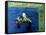 Creature from the Black Lagoon, 1954-null-Framed Stretched Canvas