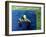 Creature from the Black Lagoon, 1954-null-Framed Photo