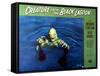 Creature from the Black Lagoon, 1954-null-Framed Stretched Canvas