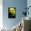 Creature from the Black Lagoon - Close-Up-Trends International-Framed Poster displayed on a wall