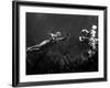 Creature from the Black Lagoon, Shooting Underwater Scene, 1954-null-Framed Photo