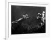 Creature from the Black Lagoon, Shooting Underwater Scene, 1954-null-Framed Photo