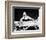 Creature from the Black Lagoon-null-Framed Photo