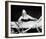 Creature from the Black Lagoon-null-Framed Photo