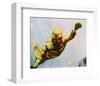 Creature from the Black Lagoon-null-Framed Photo