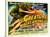 Creature Walks Among Us, The, Leigh Snowden, Jeff Morrow, Rex Reason, 1956-null-Stretched Canvas