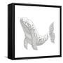 Creatures From The Deep 4-Pam Varacek-Framed Stretched Canvas