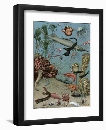 Creatures of the Sea Floor, Including Fish, Starfish, Sea Urchins, Crustaceans, Polyps-null-Framed Premium Giclee Print