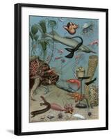 Creatures of the Sea Floor, Including Fish, Starfish, Sea Urchins, Crustaceans, Polyps-null-Framed Giclee Print