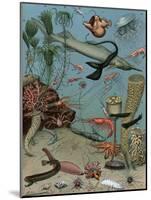 Creatures of the Sea Floor, Including Fish, Starfish, Sea Urchins, Crustaceans, Polyps-null-Mounted Giclee Print