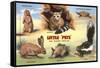 Creatures of the West Texas Desert-null-Framed Stretched Canvas