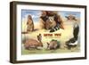 Creatures of the West Texas Desert-null-Framed Art Print