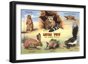 Creatures of the West Texas Desert-null-Framed Art Print