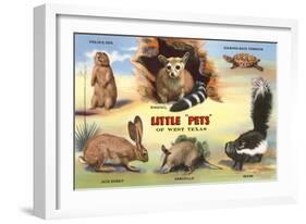 Creatures of the West Texas Desert-null-Framed Art Print