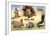 Creatures of the West Texas Desert-null-Framed Art Print