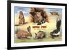 Creatures of the West Texas Desert-null-Framed Premium Giclee Print