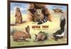 Creatures of the West Texas Desert-null-Framed Art Print