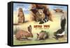 Creatures of the West Texas Desert-null-Framed Stretched Canvas