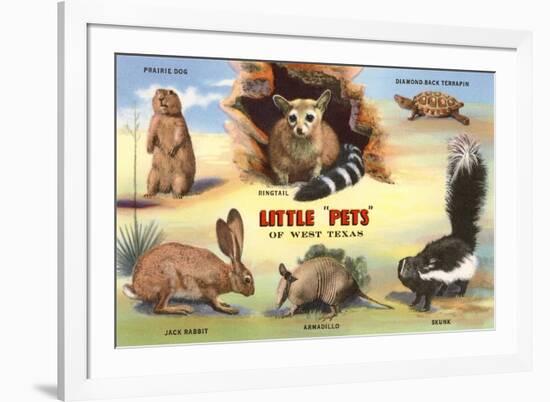 Creatures of the West Texas Desert-null-Framed Art Print