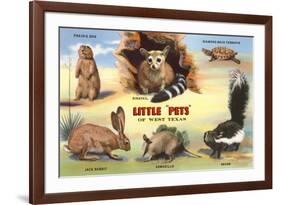 Creatures of the West Texas Desert-null-Framed Art Print