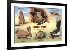 Creatures of the West Texas Desert-null-Framed Art Print