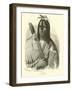 Cree Chief-Emile Antoine Bayard-Framed Giclee Print