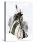 Cree Indian of the Minnesota - Canada Borderlands, 1800s-null-Stretched Canvas