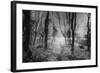 Creech Hill, Bruton, Somerset-Simon Marsden-Framed Giclee Print