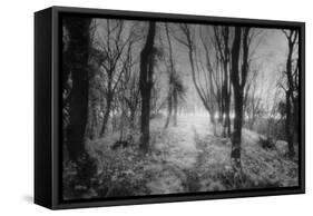 Creech Hill, Bruton, Somerset-Simon Marsden-Framed Stretched Canvas