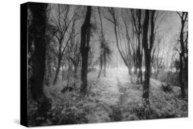 Creech Hill, Bruton, Somerset-Simon Marsden-Stretched Canvas