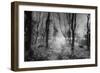 Creech Hill, Bruton, Somerset-Simon Marsden-Framed Giclee Print