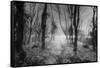 Creech Hill, Bruton, Somerset-Simon Marsden-Framed Stretched Canvas