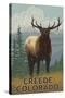 Creede, Colorado - Elk Scene-Lantern Press-Stretched Canvas