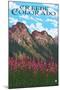 Creede, Colorado - Fireweed and Mountain-Lantern Press-Mounted Art Print