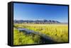 Creek and Fence Line in the Camas Prairie-Terry Eggers-Framed Stretched Canvas