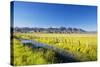 Creek and Fence Line in the Camas Prairie-Terry Eggers-Stretched Canvas