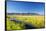 Creek and Fence Line in the Camas Prairie-Terry Eggers-Framed Stretched Canvas