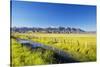 Creek and Fence Line in the Camas Prairie-Terry Eggers-Stretched Canvas