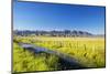 Creek and Fence Line in the Camas Prairie-Terry Eggers-Mounted Photographic Print