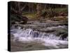 Creek and Ozarks, Montana, USA-Gayle Harper-Stretched Canvas