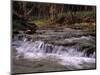 Creek and Ozarks, Montana, USA-Gayle Harper-Mounted Photographic Print